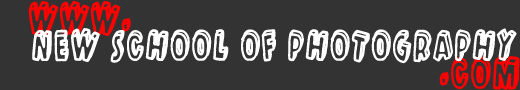 NSOP Forums